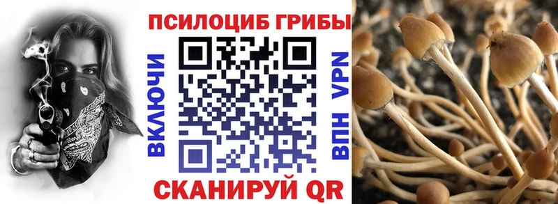 Галлюциногенные грибы мухоморы  Спас-Клепики 